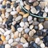 6.6lb/3kg natural decorative polished (0.39-0.78 inches) mixed pebble pebble polished gravel, small decorative river stones for freshwater fish