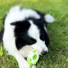 Phedgehog Shape Dog Toy Leaking Food Toys For Small Large Dogs Cat Chewing Toys Pet Tooth Cleaning Indestructible Puppy Toys Ball Molar Tooth Cleaning